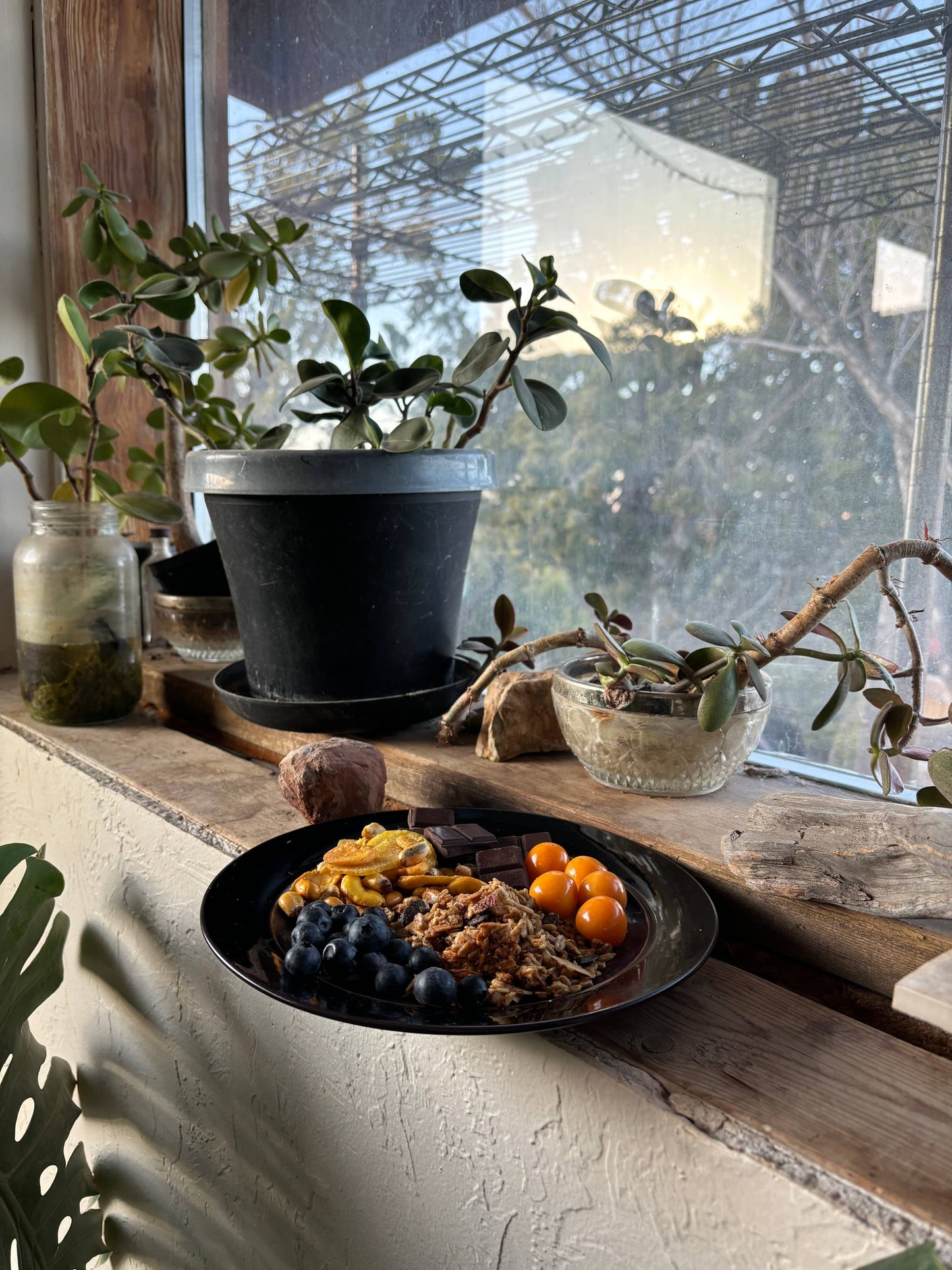🌳 Original Granola