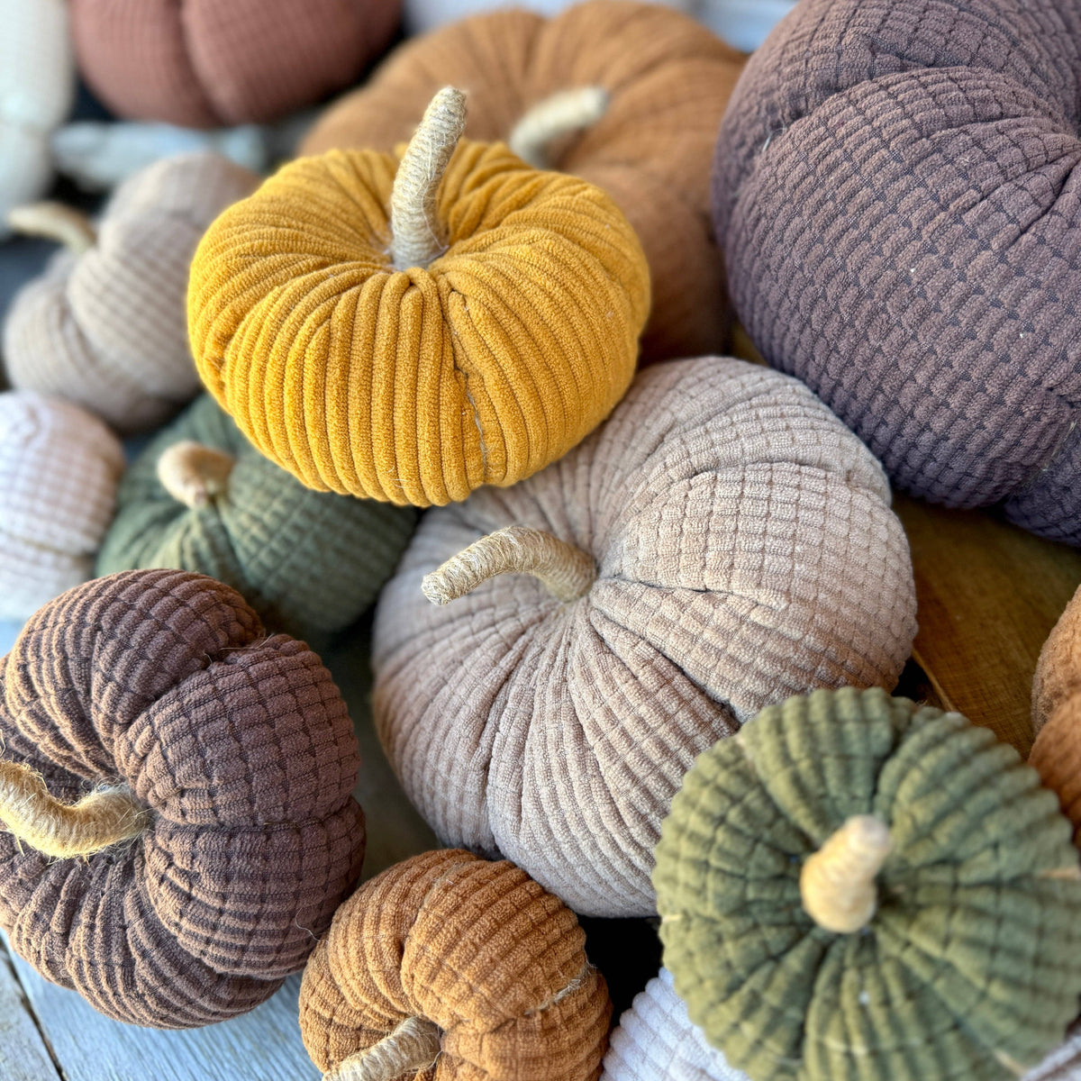 Butterscotch Wide Cord Pumpkin
