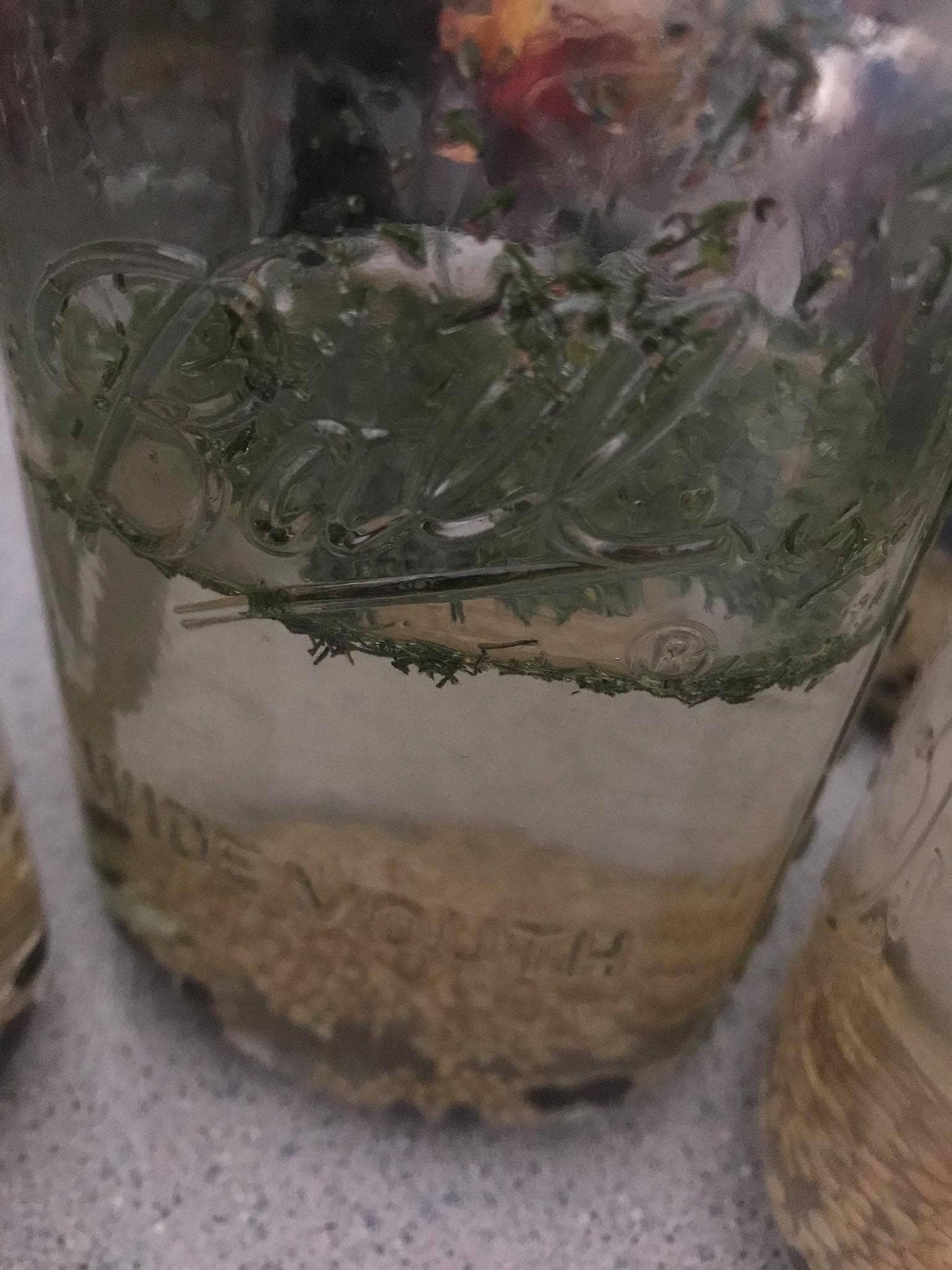 Ice Box Dill Pickle Mix