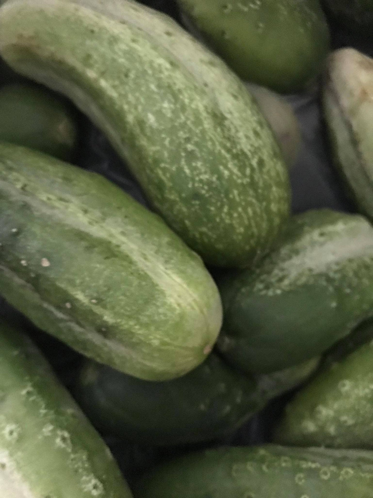 Ice Box Dill Pickle Mix
