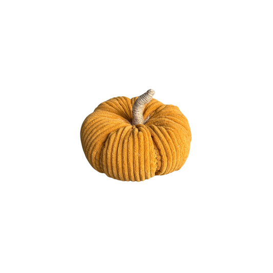 Butterscotch Wide Cord Pumpkin