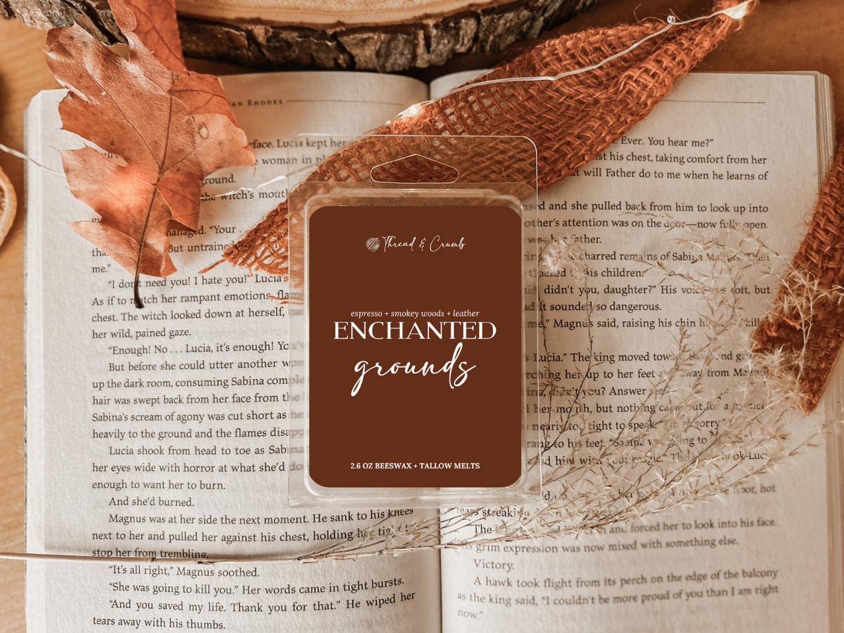 Fall Wax Melts | Beeswax + Tallow | 2.6 oz Clamshell