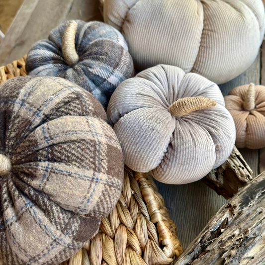 Silver Corduroy Pumpkin