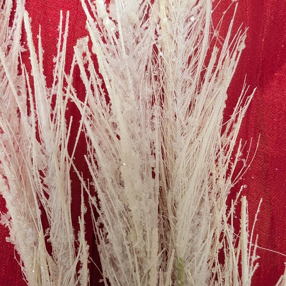 Miscanthus Bundle