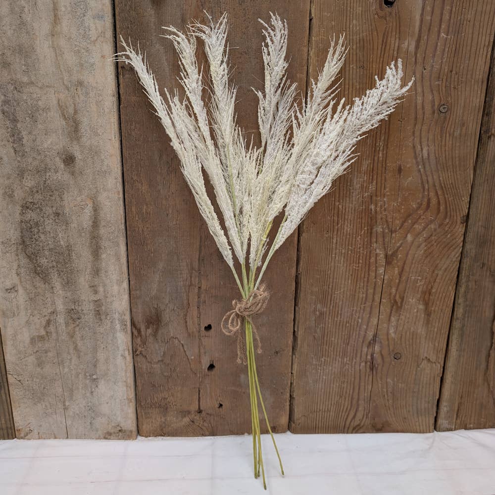 Miscanthus Bundle